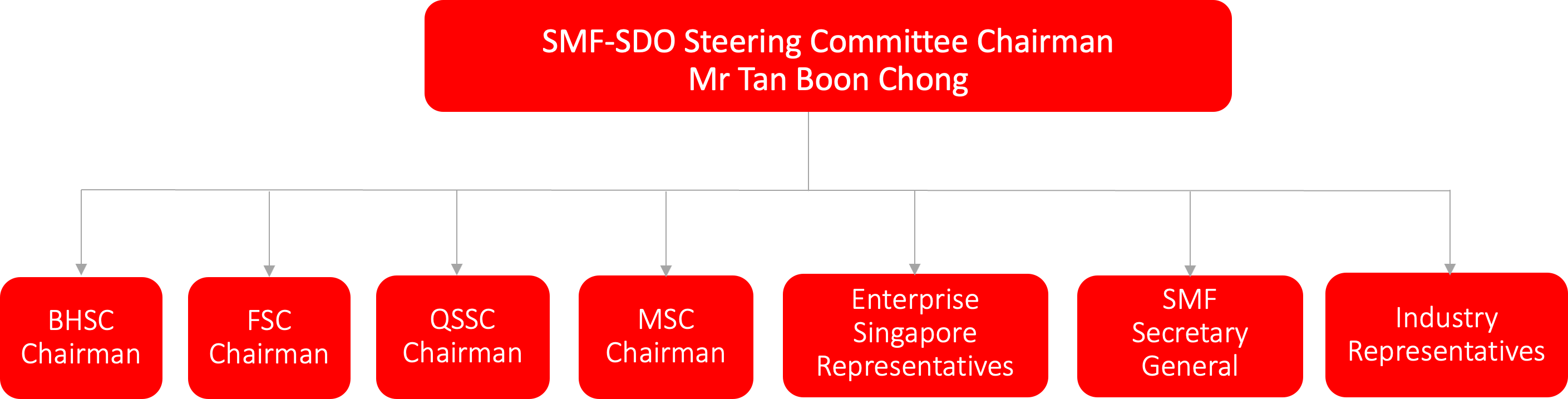 SMF-SDO Steering Committee